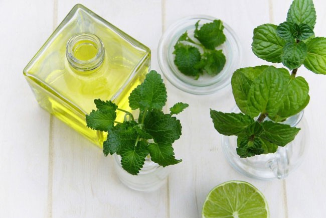 Essential Oils Mint