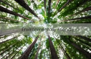 Everything Environmentally Friendly